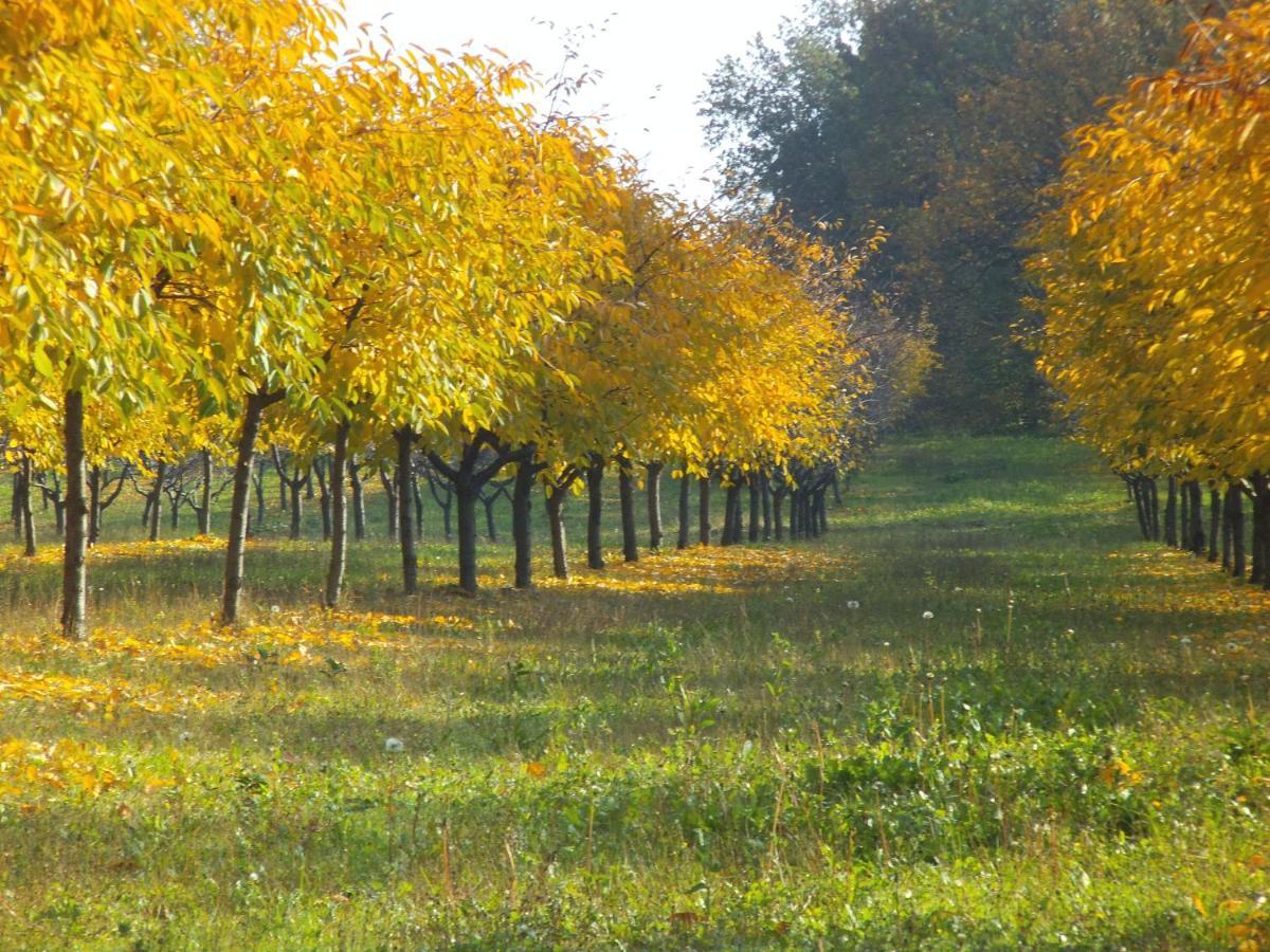 Alloggio Cantalupo Formigine Extérieur photo