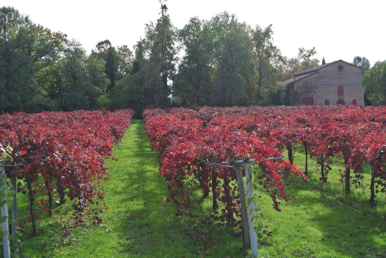 Alloggio Cantalupo Formigine Extérieur photo